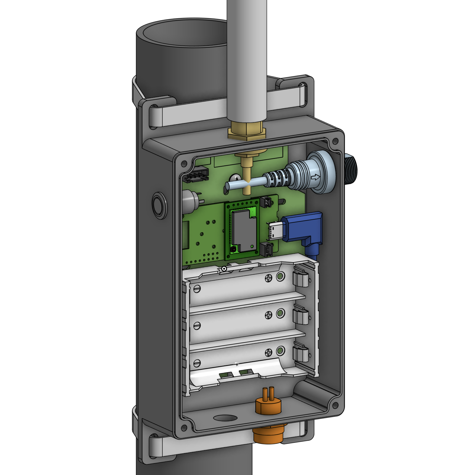 Internal view of the MeshBackbone model