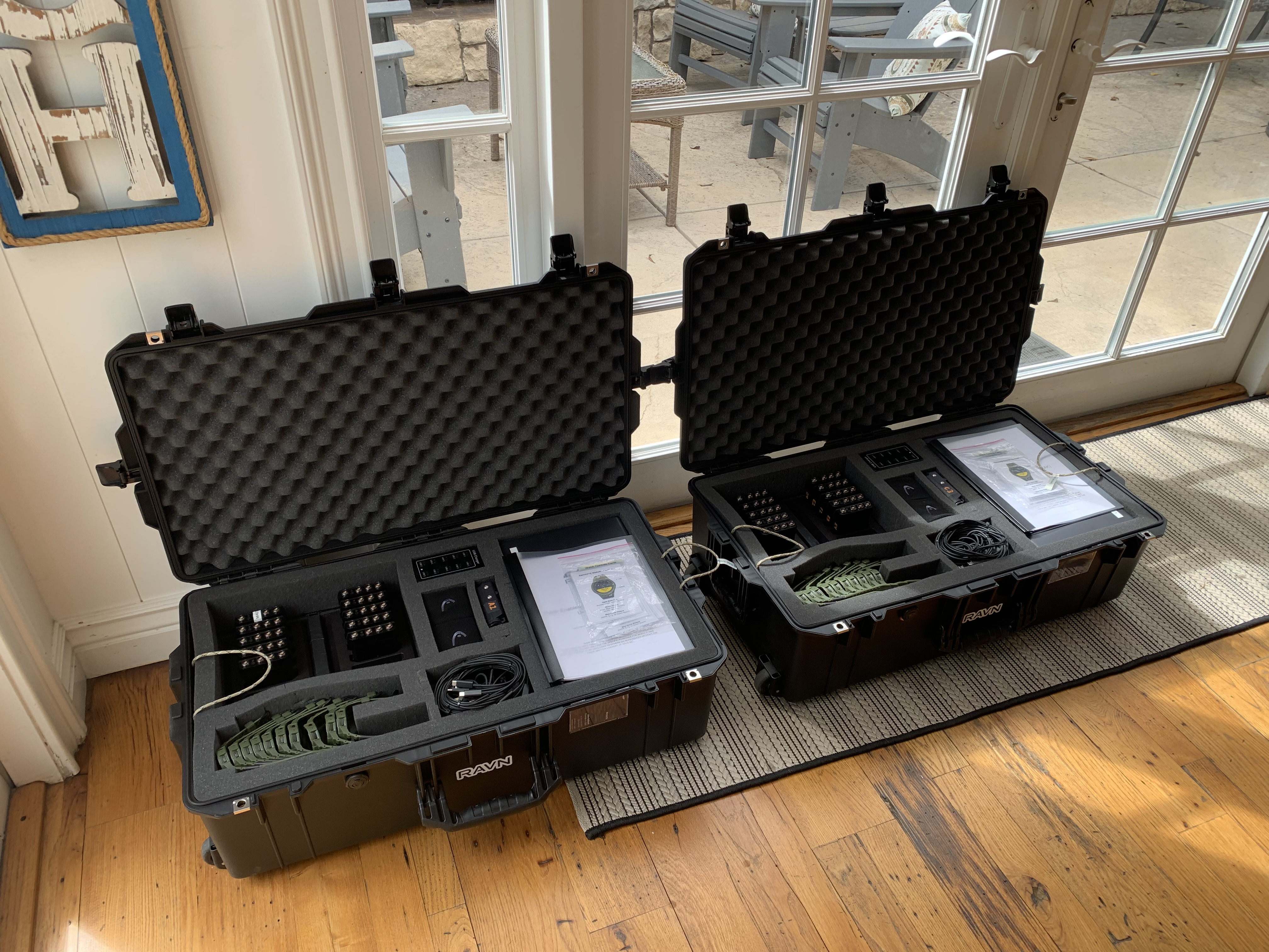 CPV2 additional view