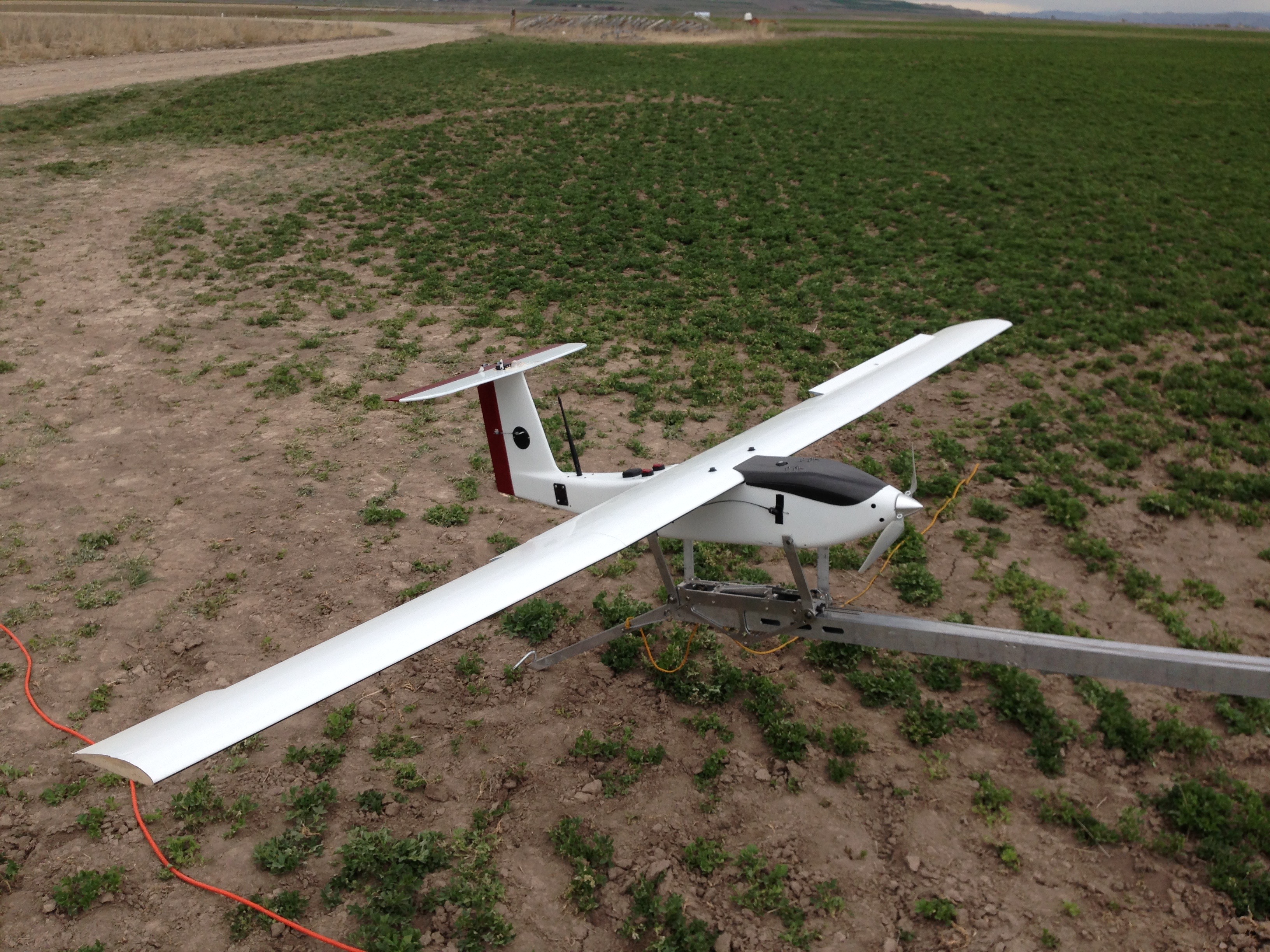 Minion2 Endurance Wing hero